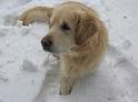 Dave im Schnee